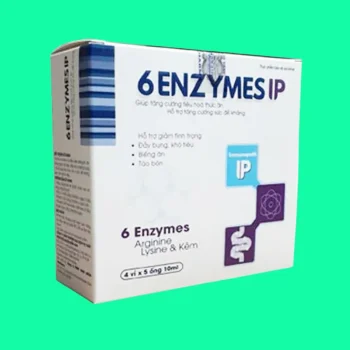 6 Enzymes IP 3 6 Enzymes IP
