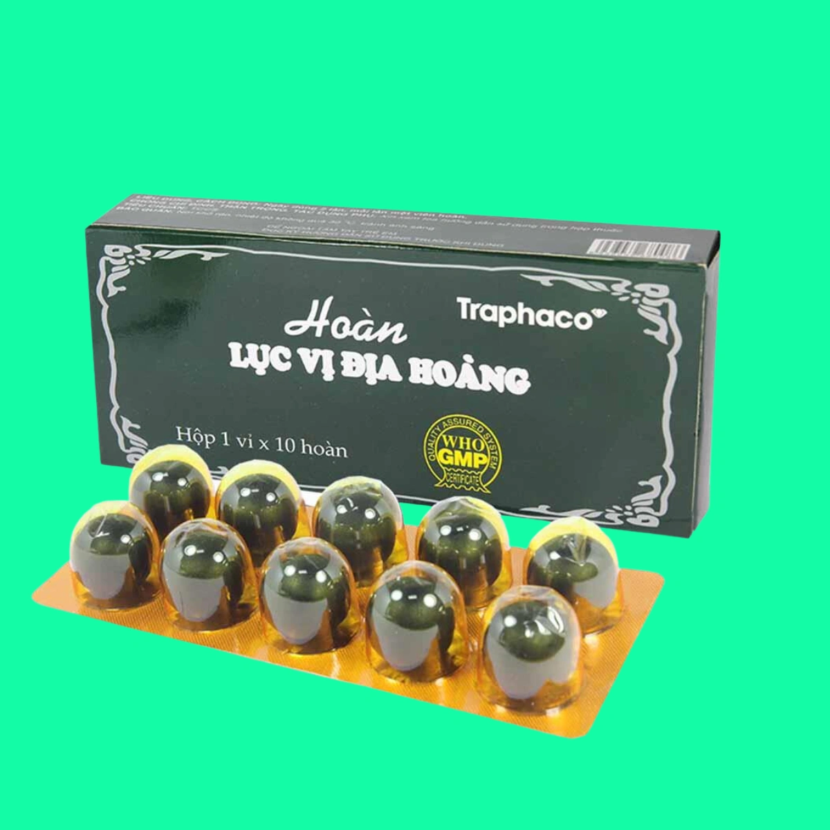 Luc-vi-dia-hoang-1 Lục vị địa hoàng