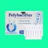 Polybacillus 8 Polybacillus
