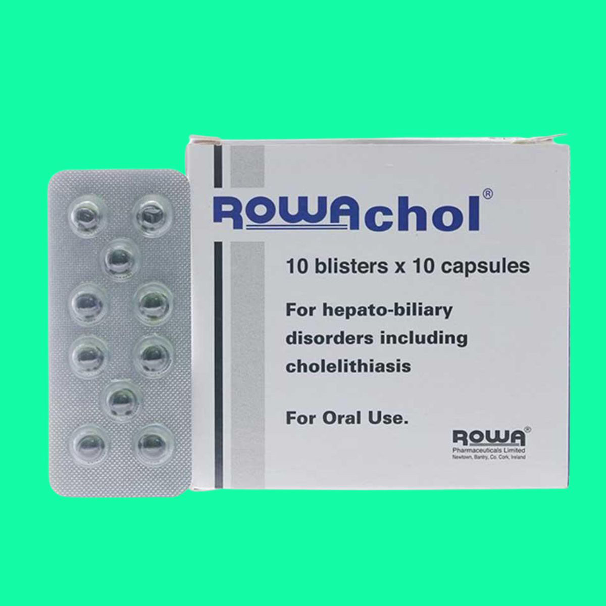 rowachol-31 Thuốc Rowachol