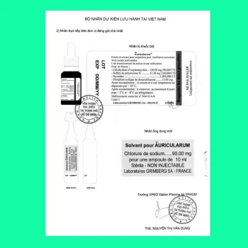 Auricularum 11 Auricularum