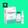 Cefotaxone 1g 13 Cefotaxone 1g