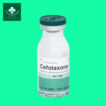 Cefotaxone 1g
