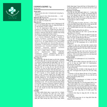 Cefotaxone 1g