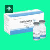 Ceftrione 1g 14 Ceftrione 1g