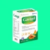 Gavigel