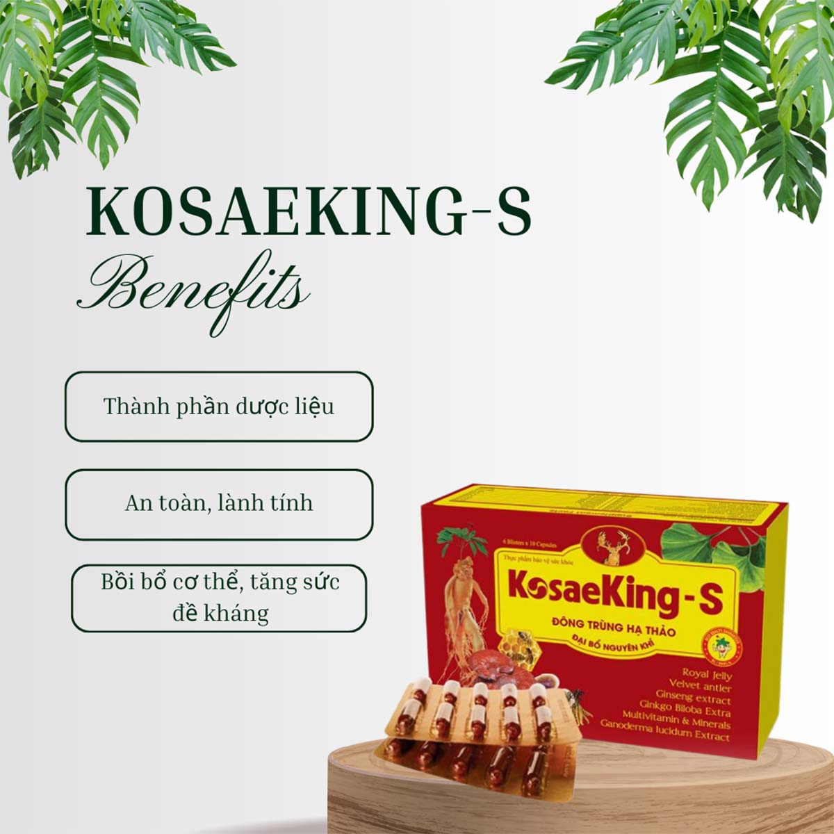 Kosaeking-S