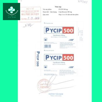 Tờ hướng dẫn sử dụng Pycip 500