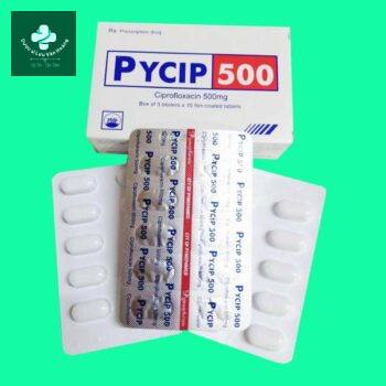 Hộp thuốc Pycip 500