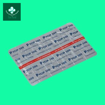 Vỉ thuốc Pycip 500