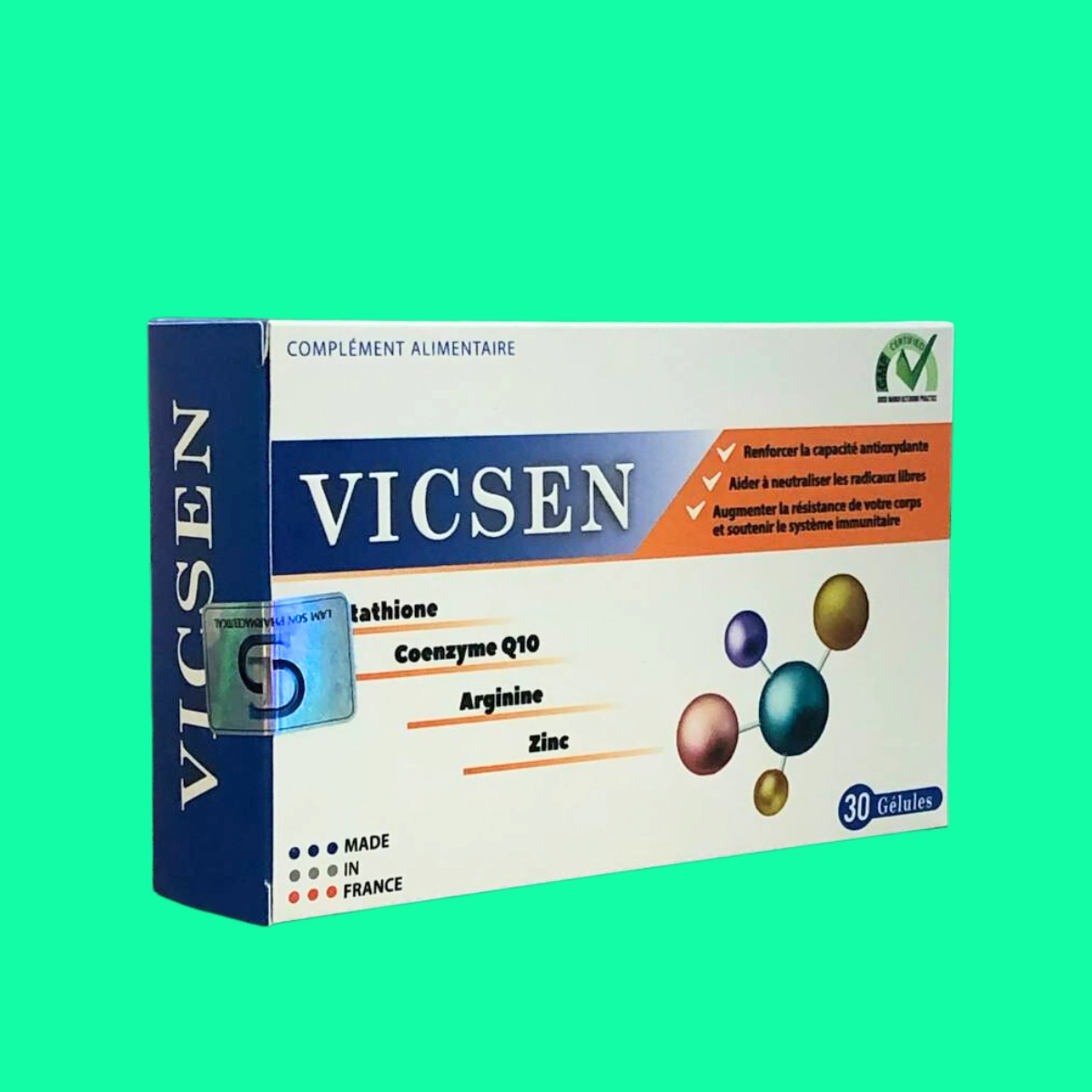 Vicsen-2 Vicsen