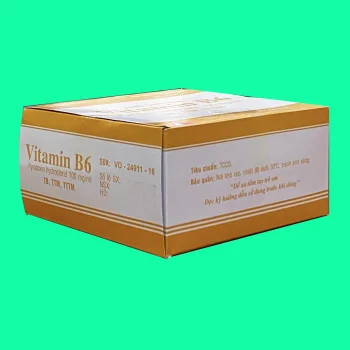 Thuốc Vitamin B6 100mg/ml Vinphaco