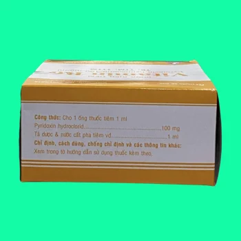 Thuốc Vitamin B6 100mg/ml Vinphaco