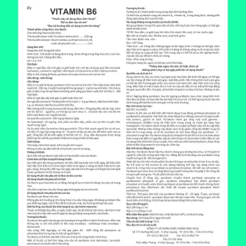 Thuốc Vitamin B6 100mg/ml Vinphaco