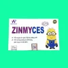 Zinmyces 15 Zinmyces