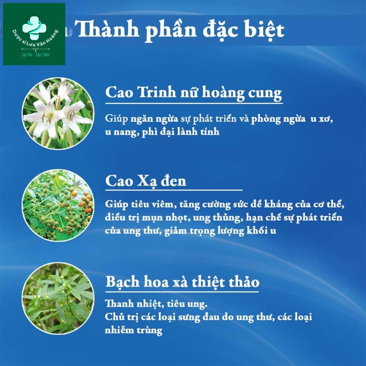 An Nữ Đan 13 An Nữ Đan