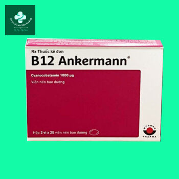 B12 Ankermann