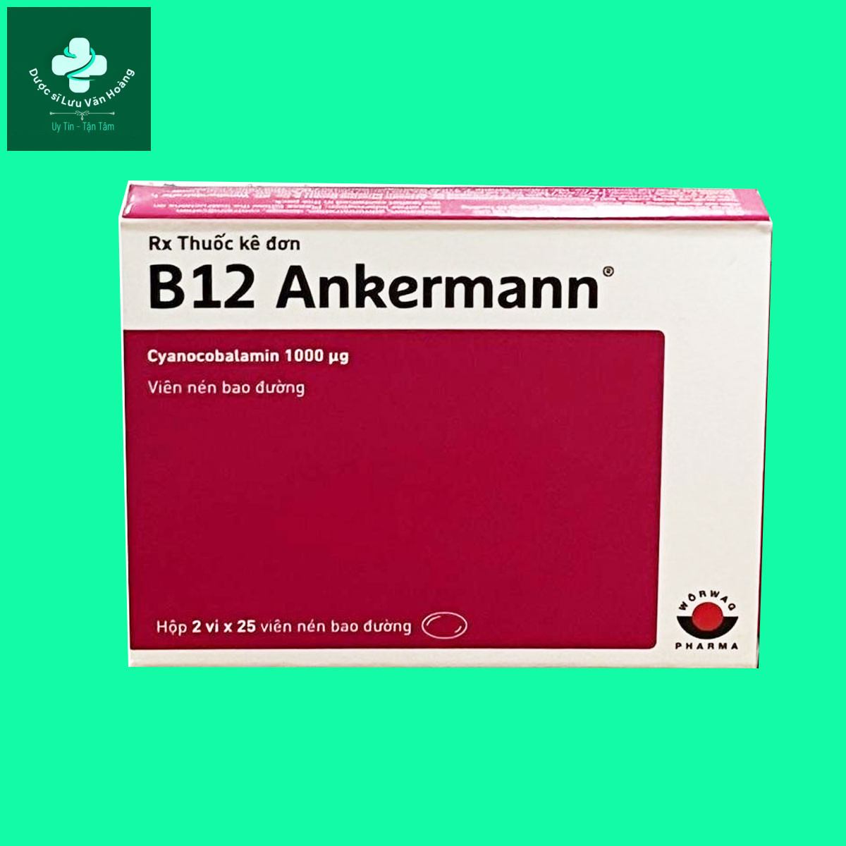 b12-ankermann-1 B12 Ankermann