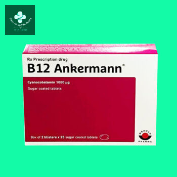 B12 Ankermann 1 B12 Ankermann