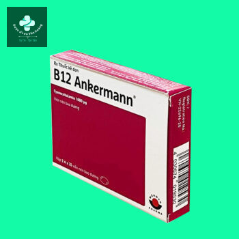 B12 Ankermann 2 B12 Ankermann