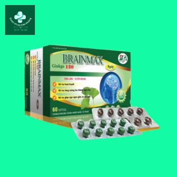 BRAINMAX Ginkgo 120
