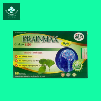 BRAINMAX Ginkgo 120