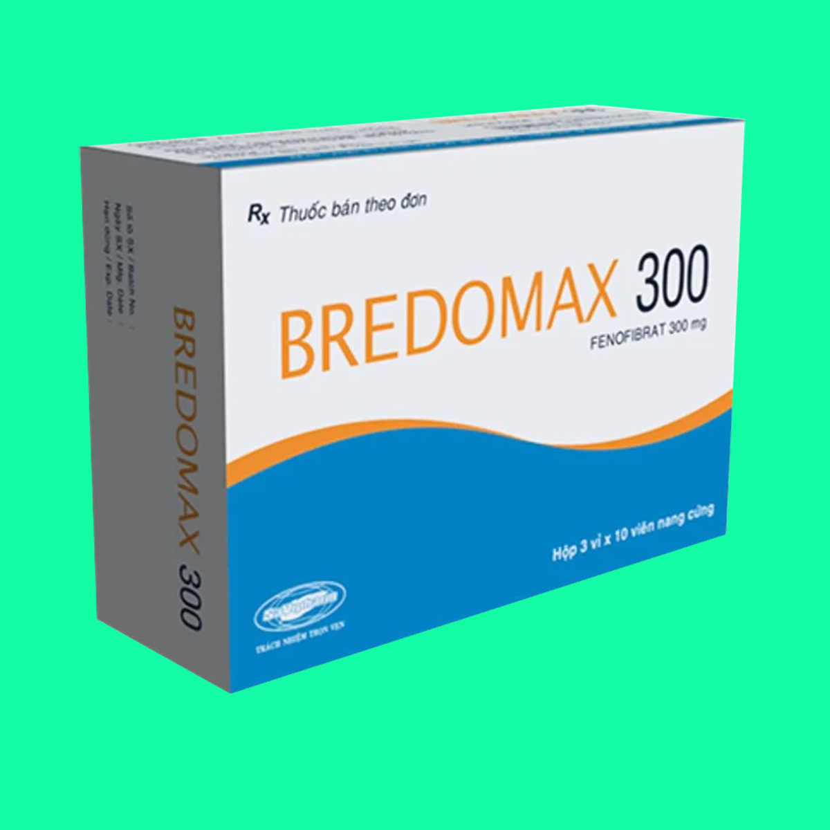 bredomax-300-3 Bredomax 300
