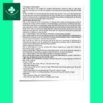 Cefprozil 500-US