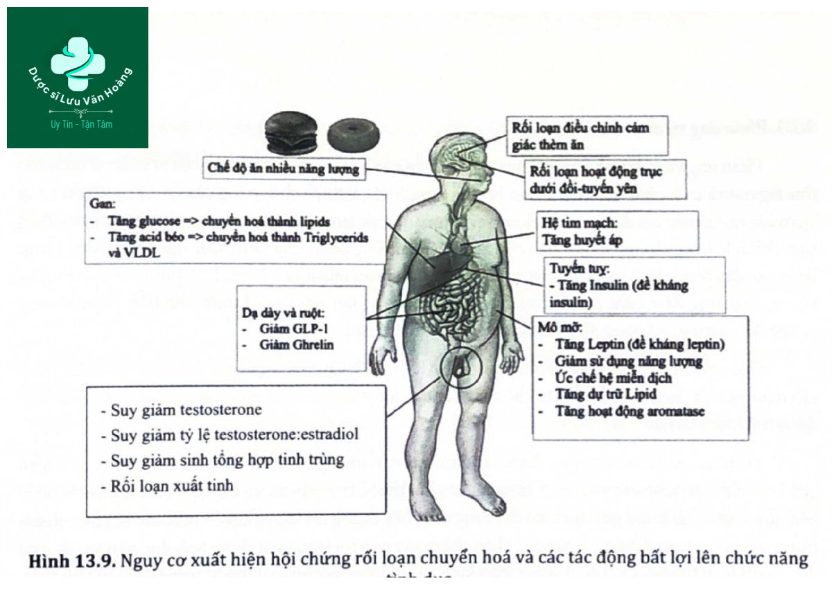 Rối loạn chức năng tình dục nam là gì? Nguyên nhân và các yếu tố nguy cơ 21 hinh13.9