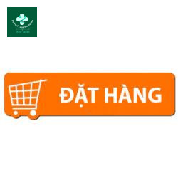 Mẫu xe đặt hàng 