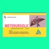 Meyerursolic 300mg 12 Thuốc Meyerursolic 300mg