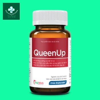 QueenUp 8 QueenUp