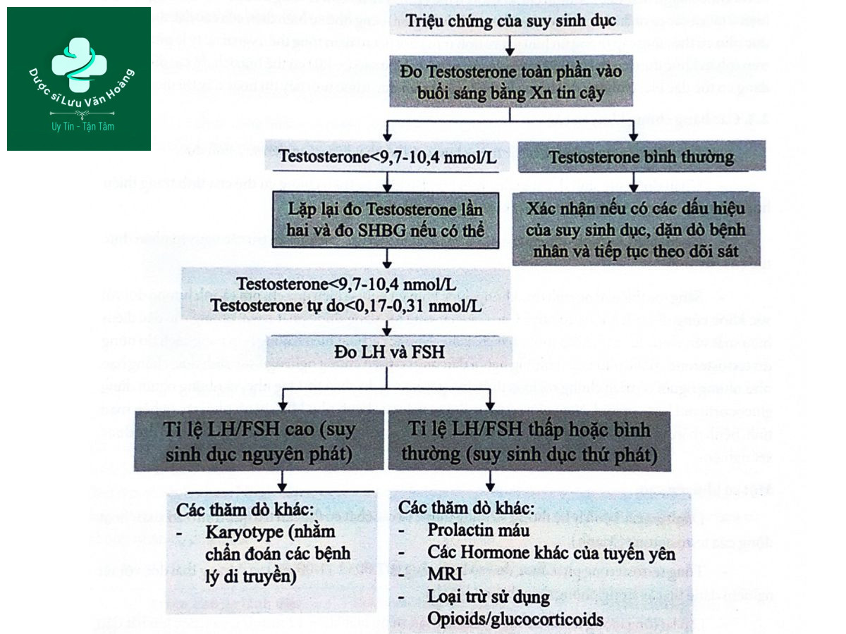 Suy sinh dục ảnh hưởng như thế nào đến chức năng tình dục nam? 9 Sơ đồ 16.2. Các bước chẩn đoán chi tiết suy sinh dục nam giới