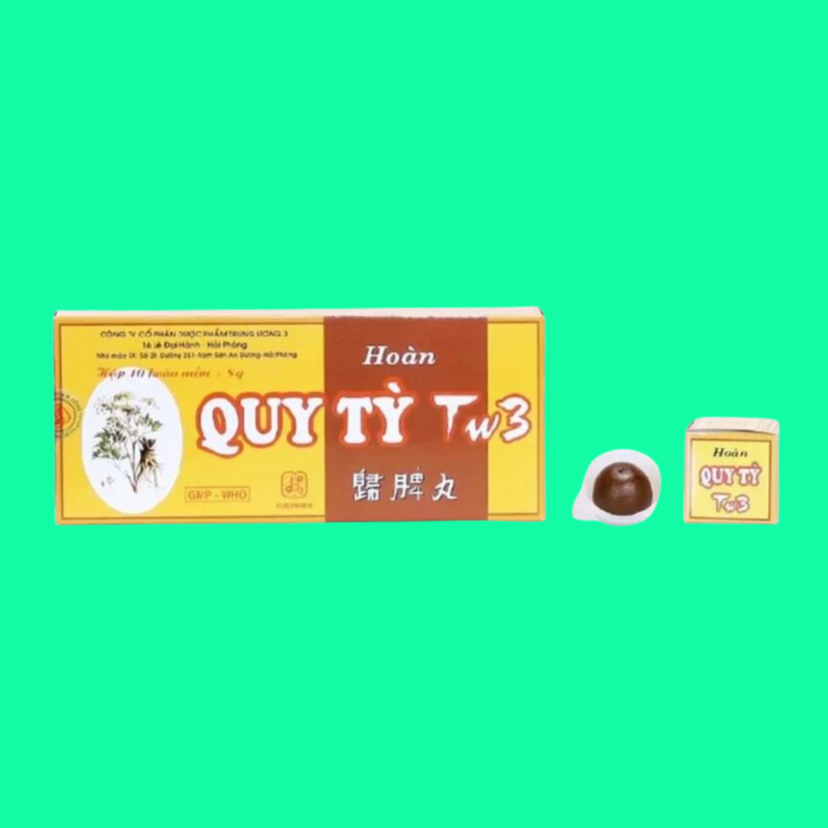 thuoc-hoan-quy-ty-tw-3-1 Thuốc Hoàn Quy Tỳ TW3