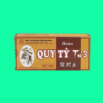Hoàn Quy Tỳ TW3 1 Thuốc Hoàn Quy Tỳ TW3