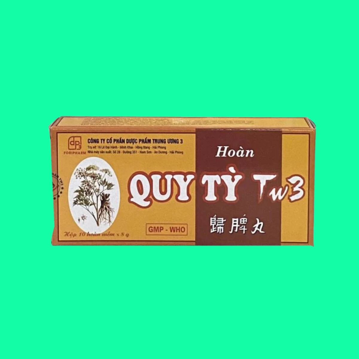 thuoc-hoan-quy-ty-tw-3-2 Thuốc Hoàn Quy Tỳ TW3