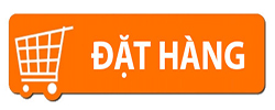 Men vi sinh có ở đâu, có tác dụng gì? 19 Đặt hàng
