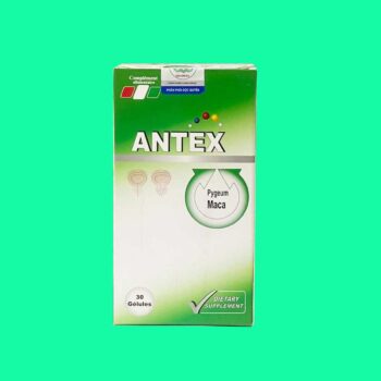 Antex