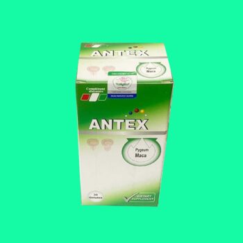 Antex