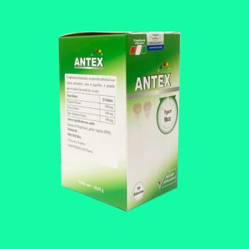 Antex