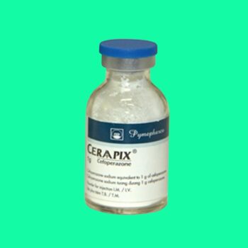Ceraapix 1 Ceraapix