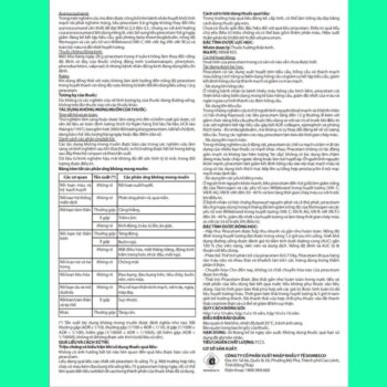 Dorocetam 800mg 5 Thuốc Dorocetam 800mg