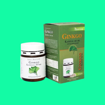 Ginkgo Kapseln 100mg