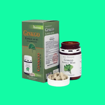 Ginkgo Kapseln 100mg 2 Ginkgo Kapseln 100mg