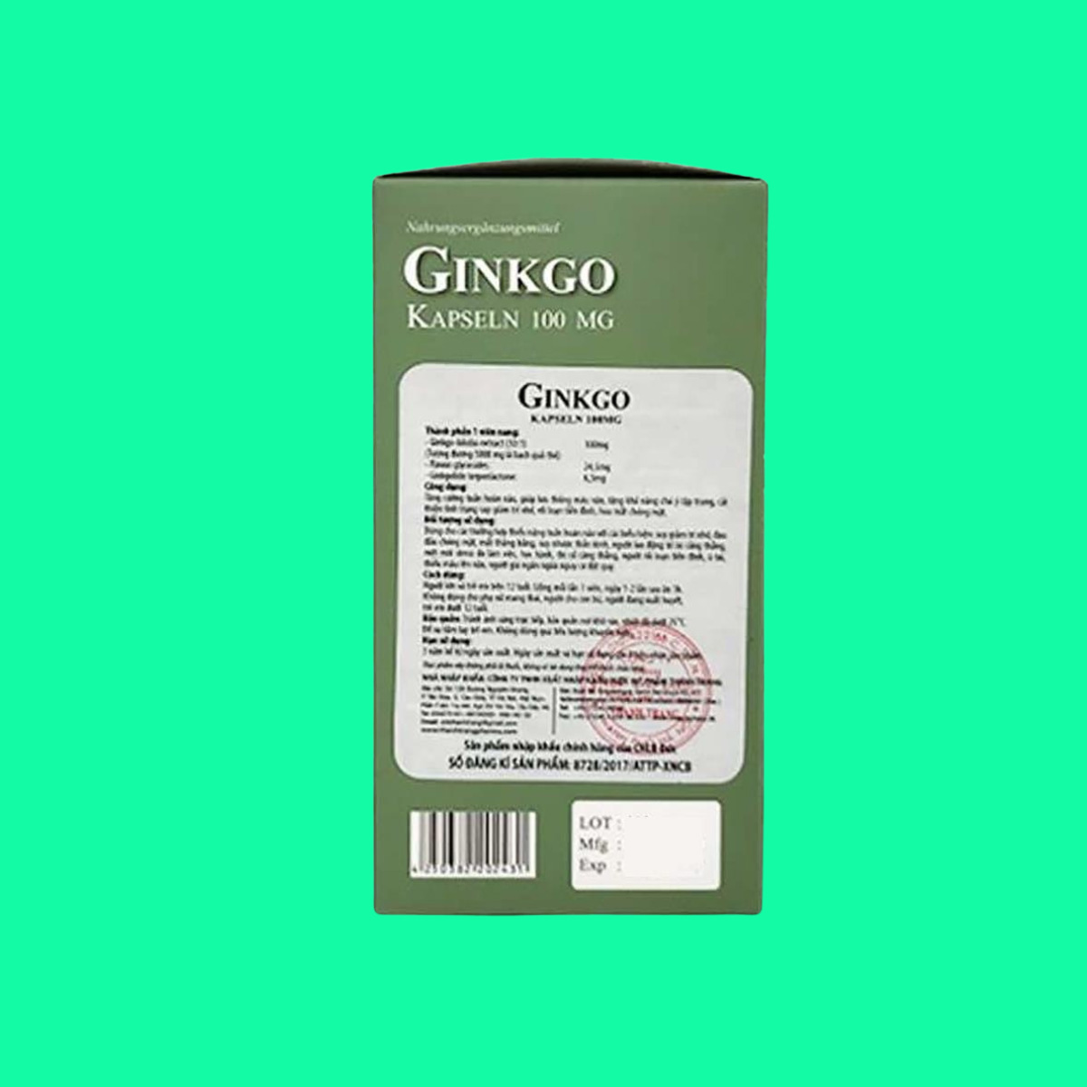 Ginkgo Kapseln - 4 Ginkgo Kapseln 100mg