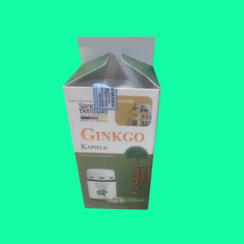 Ginkgo Kapseln 100mg 5 Ginkgo Kapseln 100mg