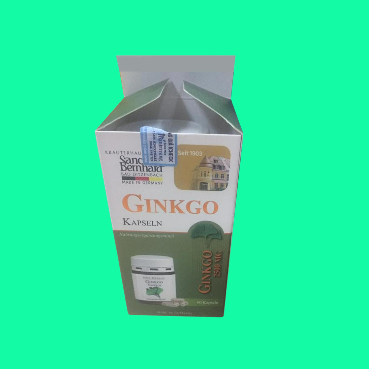 Ginkgo Kapseln - 5 Ginkgo Kapseln 100mg