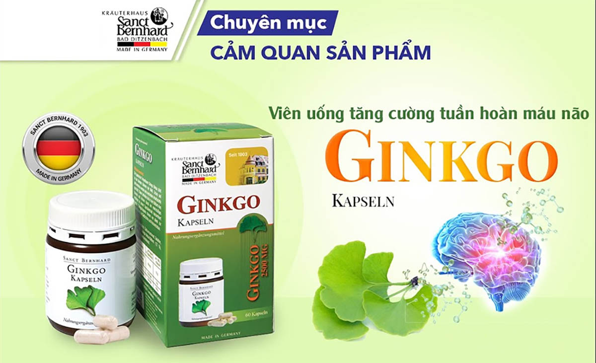 Ginkgo Kapseln 100mg 12 Ginkgo Kapseln 100mg