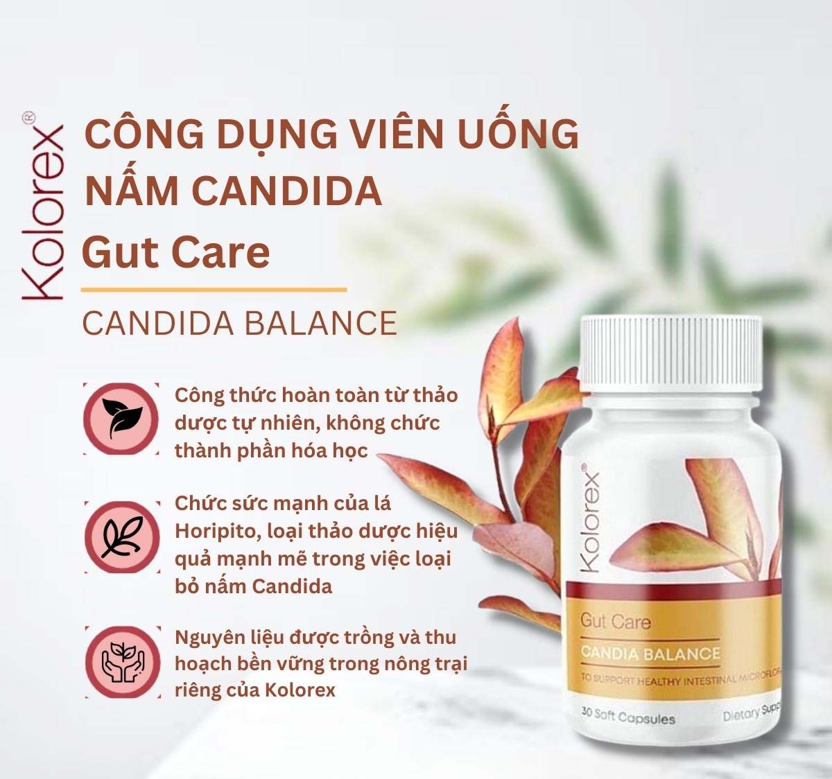Gut Care Candida Balance Kolorex 30 viên giúp ngừ nhiễm nấm