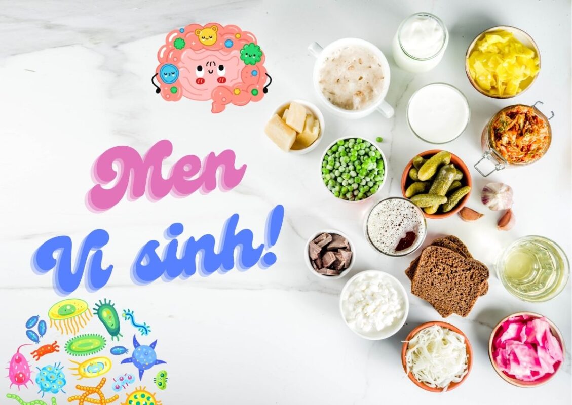 Men vi sinh có ở đâu, có tác dụng gì? 16 Men vi sinh